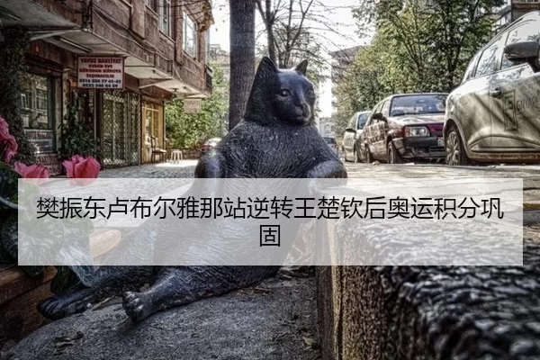 fan-zhen-dong-lu-bu-er-ya-na-zhan-ni-zhuan-wang-chu-qin-hou-ao-yun-ji-fen-gong-gu-3-812.jpg